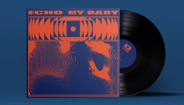 Echo - Vinyl LP vinyl record cover