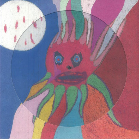 I Have A Special Plan For This World - Picture Disc Vinyl LP vinyl record cover