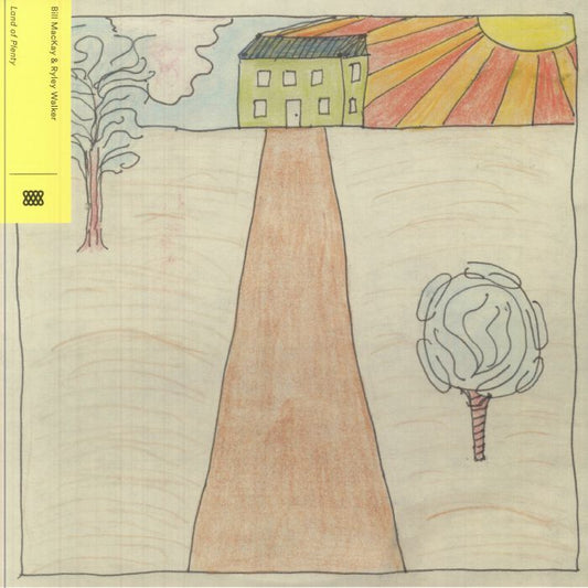 Land Of Plenty - Vinyl LP vinyl record cover
