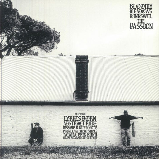 The Passion - Vinyl LP vinyl record cover