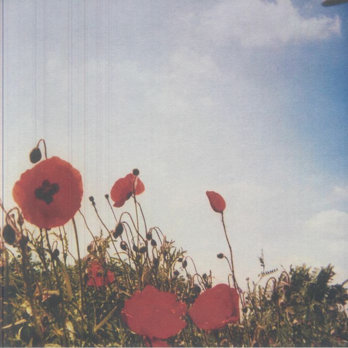 Bloem - Vinyl LP vinyl record cover