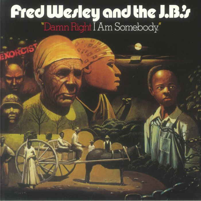 Damn Right I Am Somebody - Vinyl LP vinyl record cover