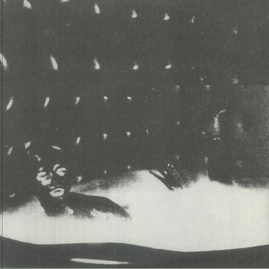 Malenkost - Vinyl LP vinyl record cover