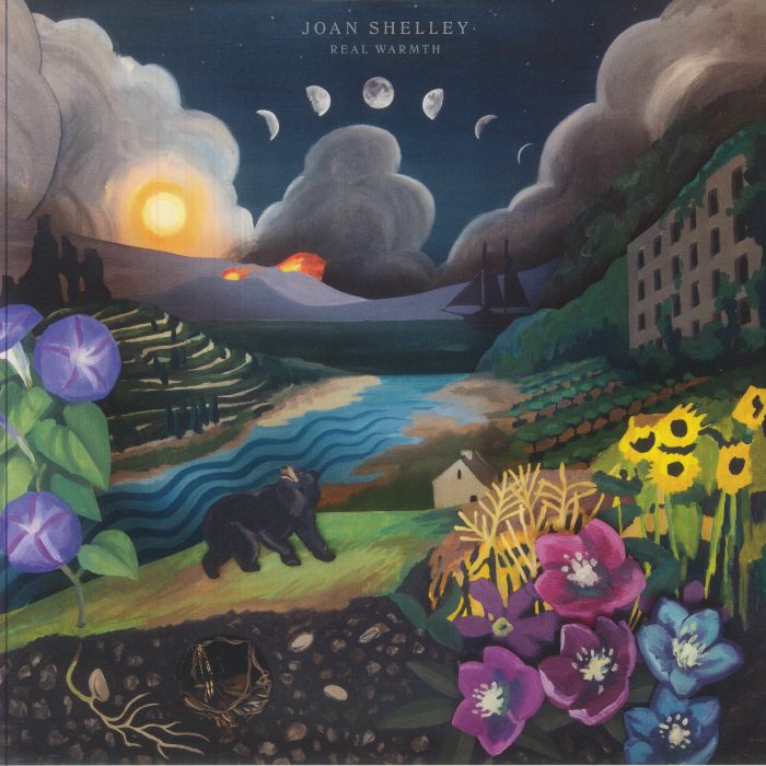 Real Warmth - Vinyl LP vinyl record cover