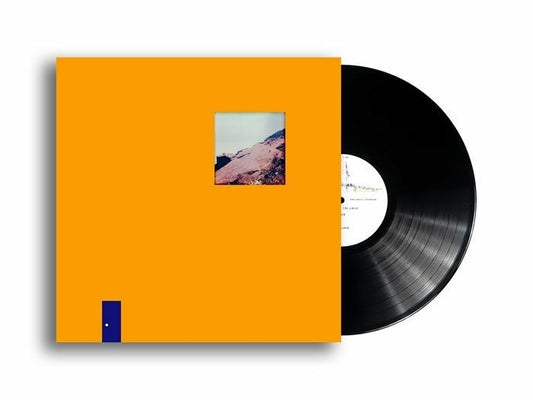 R.F.I. - Vinyl EP vinyl record cover