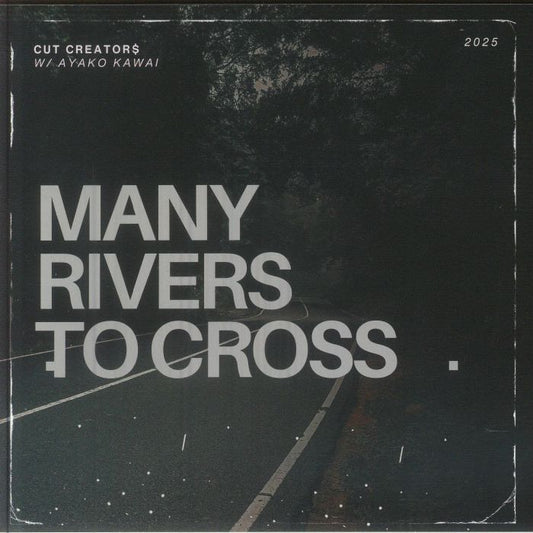 Many Rivers To Cross - Vinyl Single vinyl record cover
