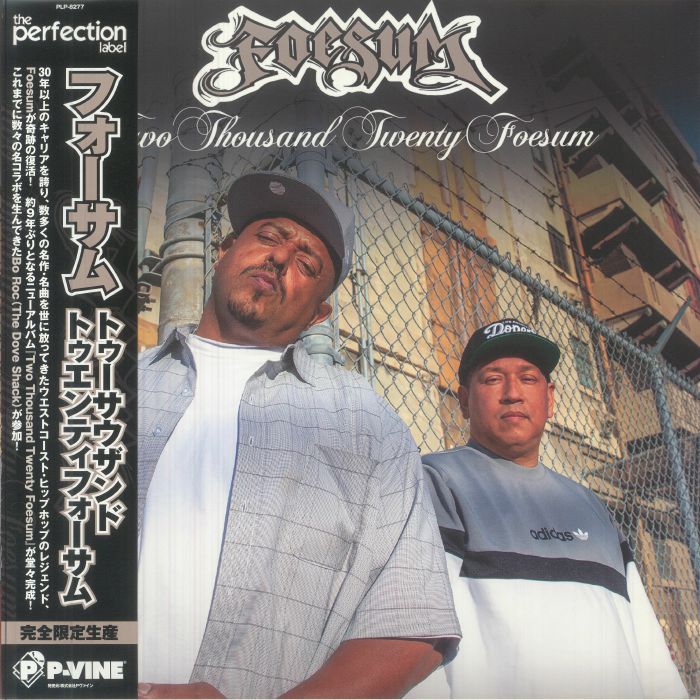 Two Thousand Twenty Foesum - Vinyl LP vinyl record cover