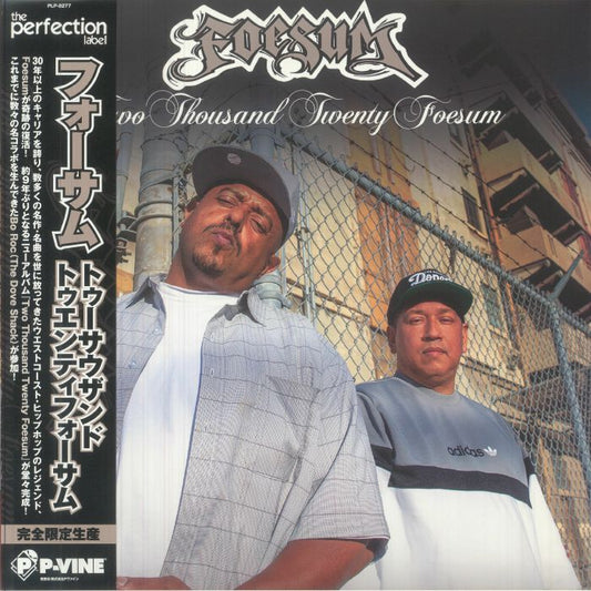 Two Thousand Twenty Foesum - Vinyl LP vinyl record cover
