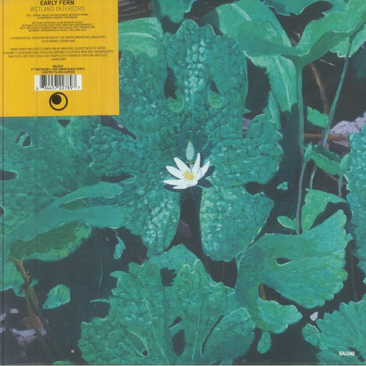Wetland Interiors - Vinyl LP vinyl record cover