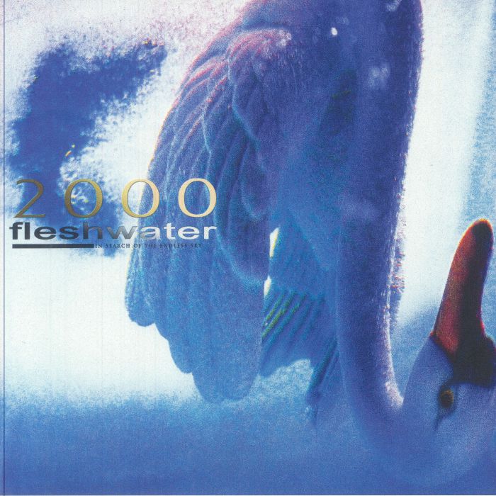 2000: In Search Of The Endless Sky - Limited Edition Pink Vinyl LP vinyl record cover