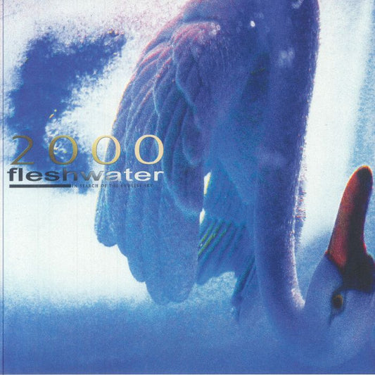 2000: In Search Of The Endless Sky - Limited Edition Pink Vinyl LP vinyl record cover