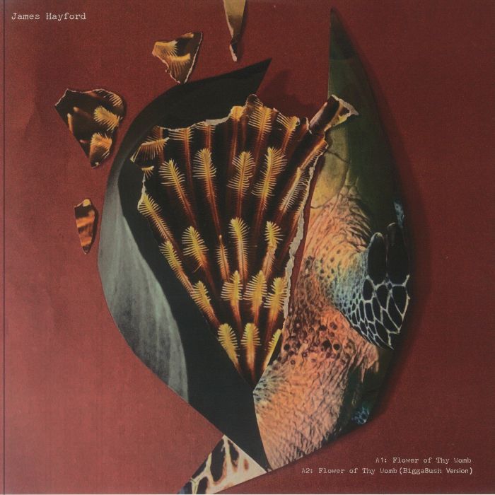Split EP - Vinyl EP vinyl record cover