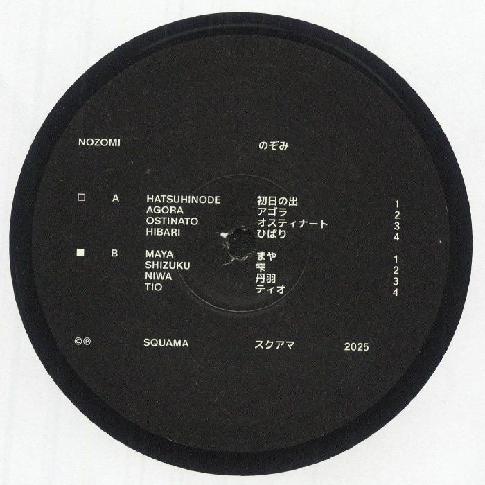 Nozomi - Vinyl LP vinyl record cover