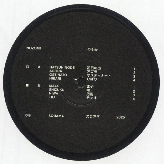 Nozomi - Vinyl LP vinyl record cover