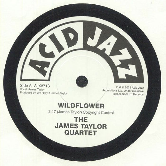 Wildflower - Vinyl Single vinyl record cover