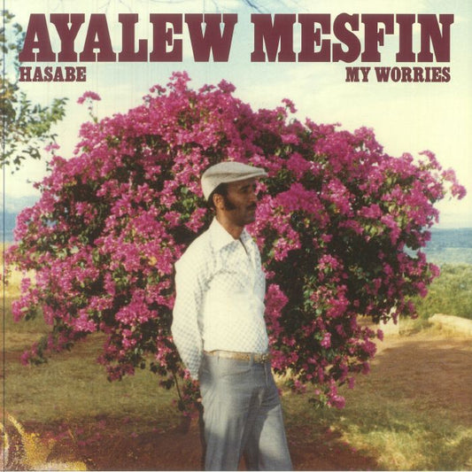 Hasabe (My Worries) - Vinyl LP vinyl record cover