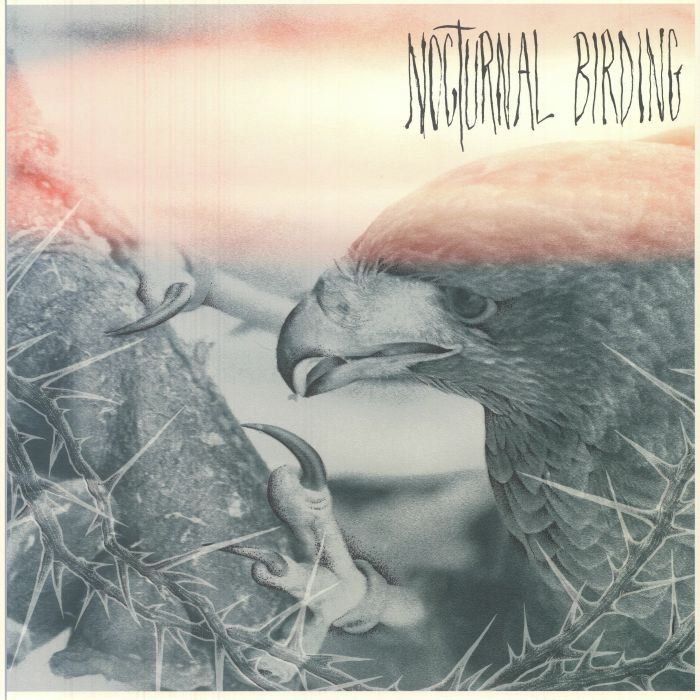 Nocturnal Birding - Orange In Blue Vinyl LP vinyl record cover