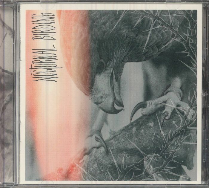 Nocturnal Birding - CD CD cover
