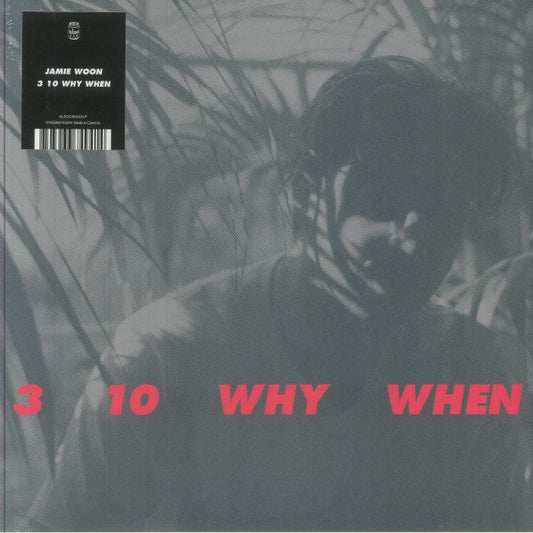 3 10 Why When - Vinyl LP vinyl record cover