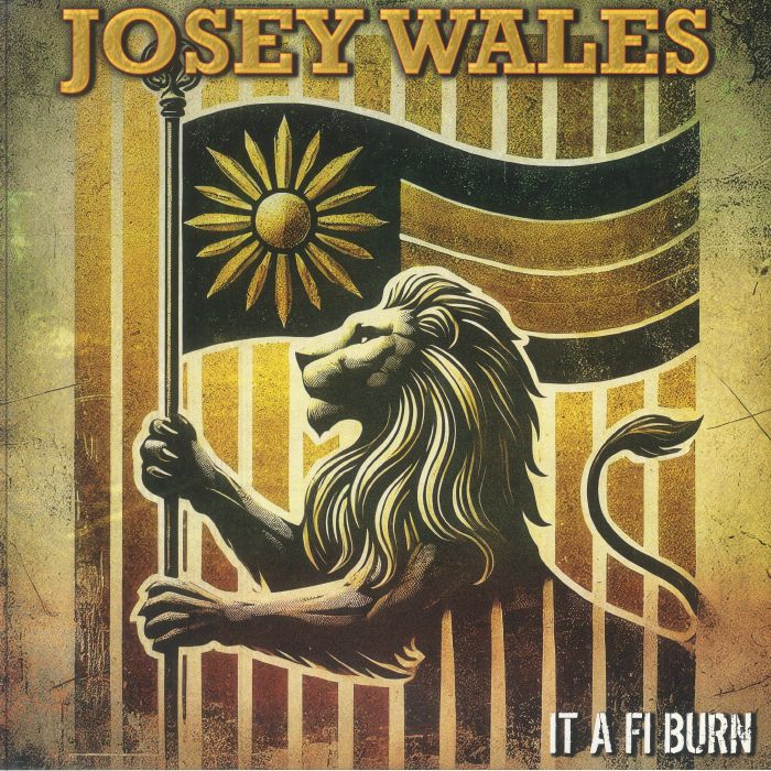 It A Fi Burn - Vinyl LP vinyl record cover