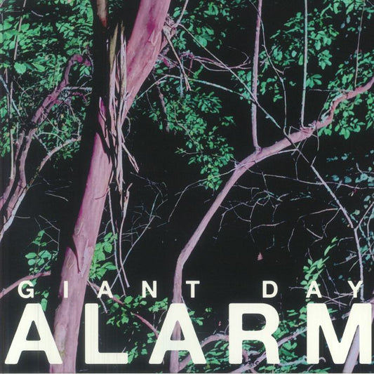 Alarm - Vinyl LP vinyl record cover