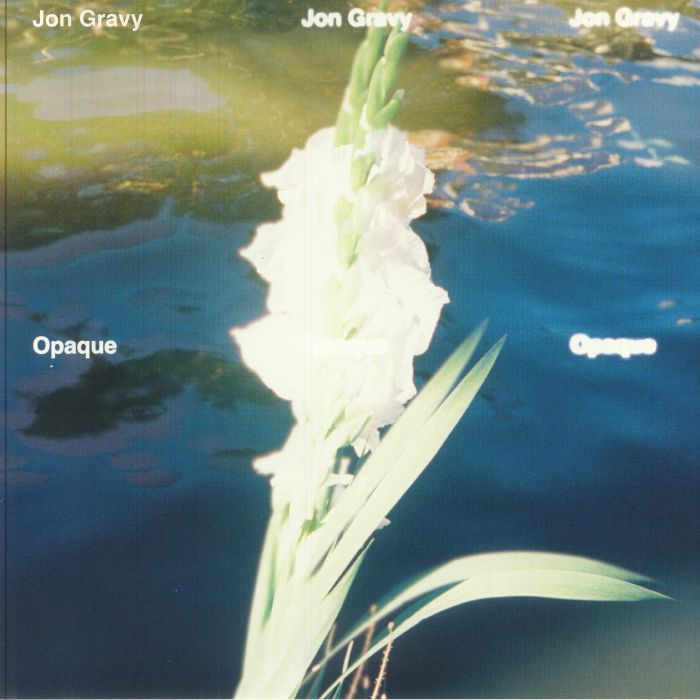 Opaque - Vinyl LP vinyl record cover