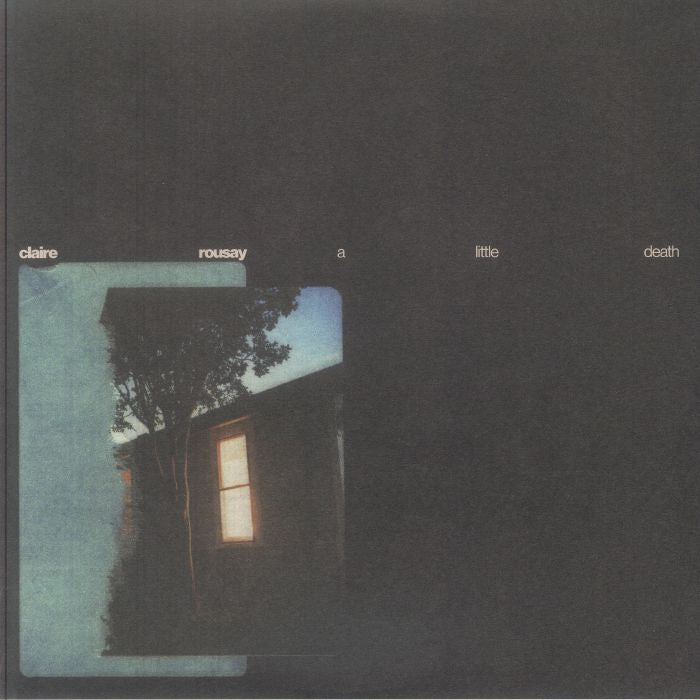 A Little Death - Vinyl LP vinyl record cover