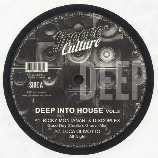 Deep Into House Vol 3 - Vinyl EP vinyl record cover