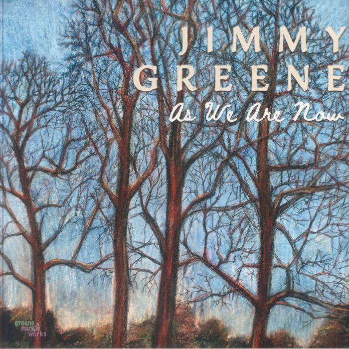 As We Are Now - Vinyl LP vinyl record cover