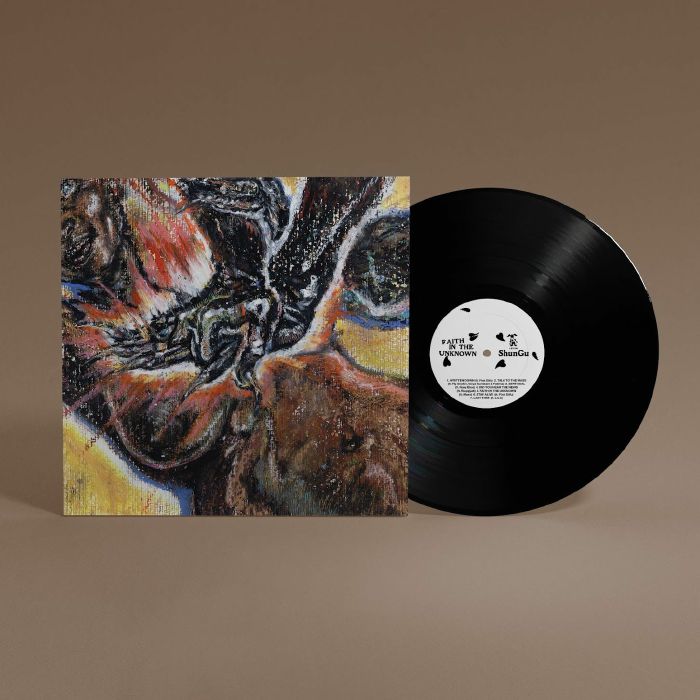 Faith In The Unknown - Vinyl LP vinyl record cover