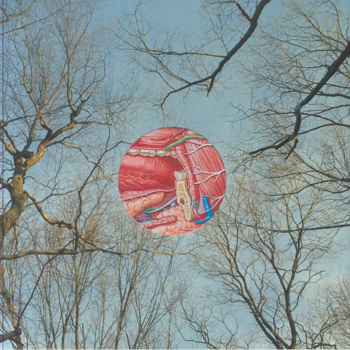 Glean - Coloured Vinyl LP vinyl record cover