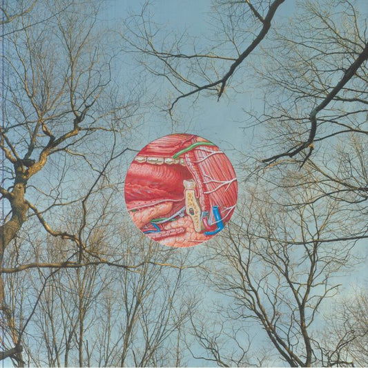 Glean - Coloured Vinyl LP vinyl record cover
