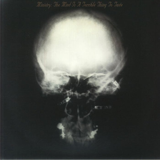 The Mind Is A Terrible Thing To Taste - 2xLP vinyl record cover