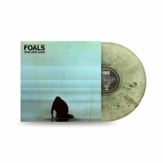 What Went Down (10th Anniversary Edition) - Limited Edition Coloured Vinyl LP vinyl record cover