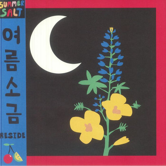 Reside - Vinyl LP vinyl record cover