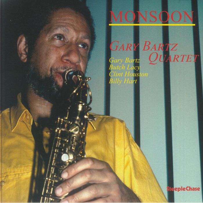 Monsoon - Vinyl LP vinyl record cover