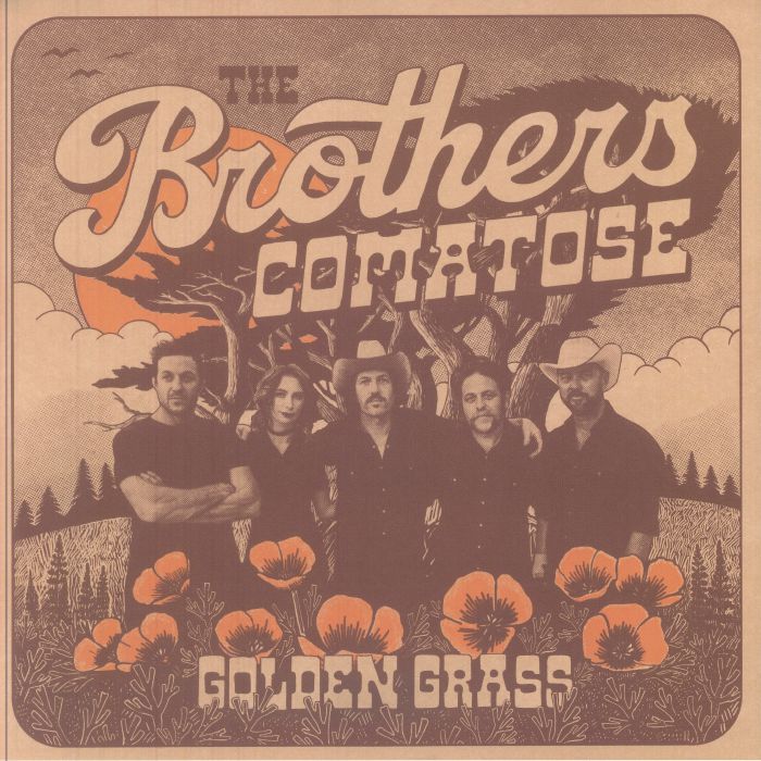 Golden Grass - Orange & Blue Pinwheel Vinyl LP vinyl record cover