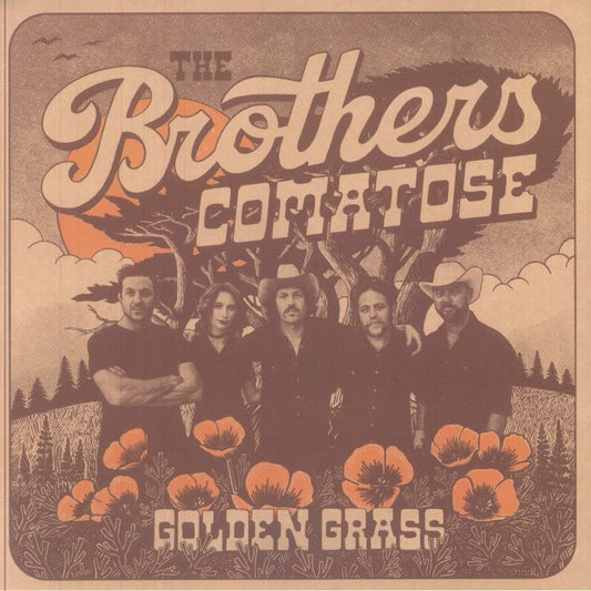 Golden Grass - Limited Edition Pinwheel Vinyl LP vinyl record cover