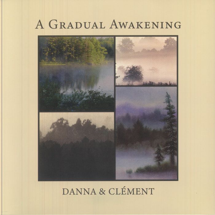 A Gradual Awakening - Vinyl LP vinyl record cover