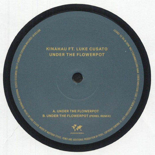 Under The Flowerpot - Vinyl Single vinyl record cover