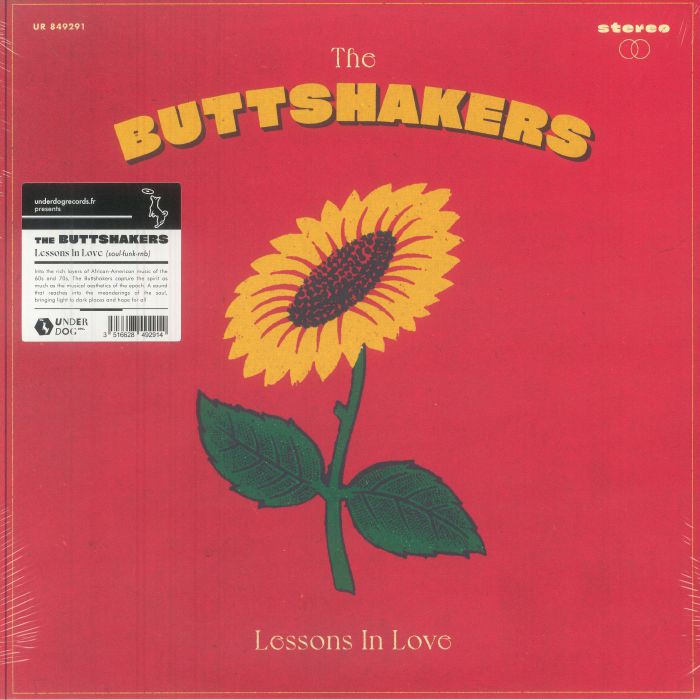 Lessons In Love - Vinyl LP vinyl record cover