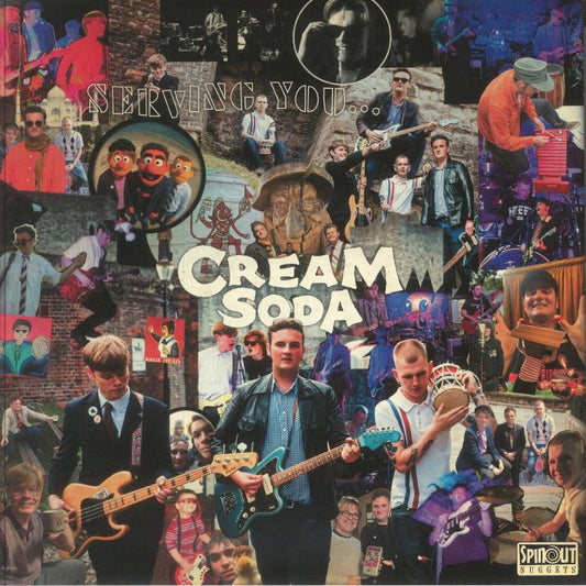 Serving You - Vinyl LP vinyl record cover