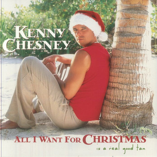 All I Want For Christmas Is A Real Good Tan - Vinyl LP vinyl record cover