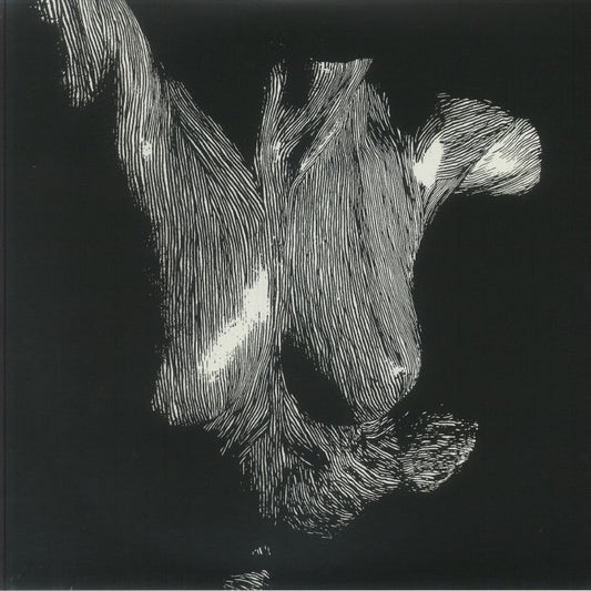Self Preserved While The Bodies Float Up - 15th Anniversary Edition 3xLP vinyl record cover