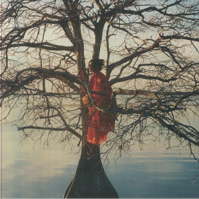 The Eldest Daughter - Vinyl LP vinyl record cover