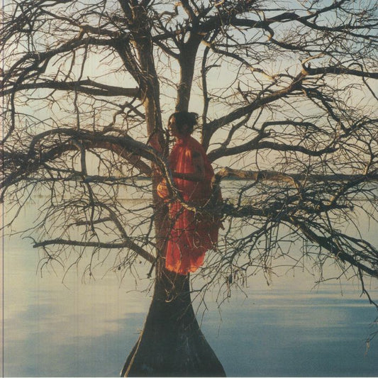 The Eldest Daughter - Vinyl LP vinyl record cover