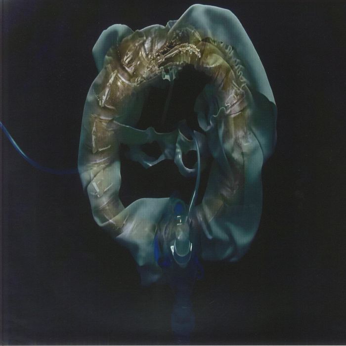 InitiatriX - Vinyl LP vinyl record cover