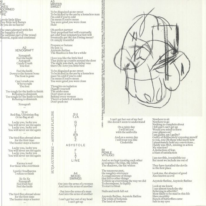 Asystole Flatline - Vinyl LP vinyl record cover