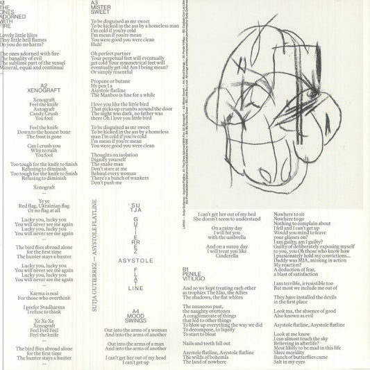 Asystole Flatline - Vinyl LP vinyl record cover