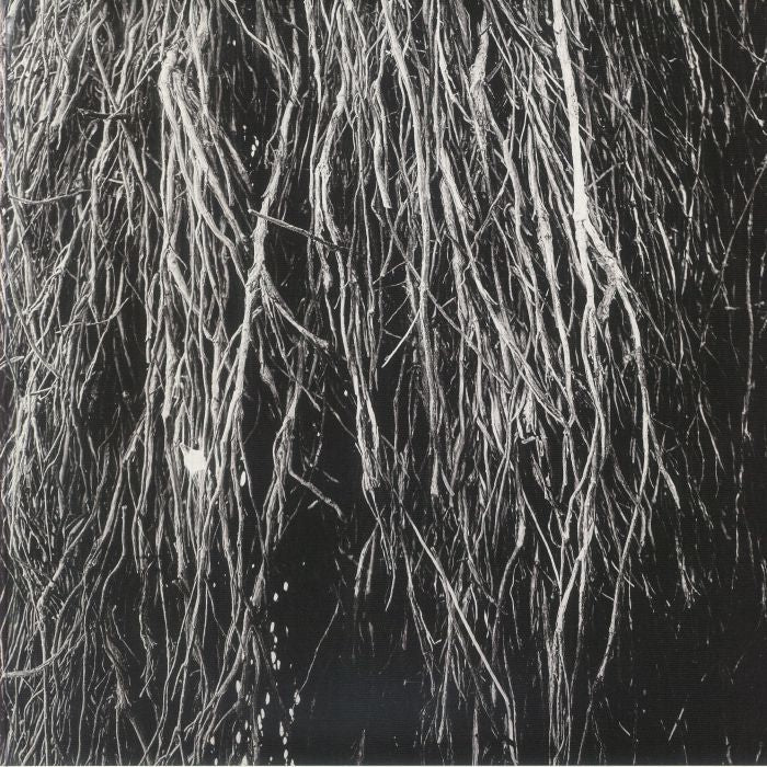 Nocturnal Rainforest - Vinyl LP vinyl record cover